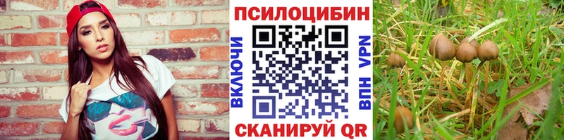 купить Кораблино blacksprut ONION Псилоцибиновые грибы мицелий